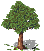 Student work sample
